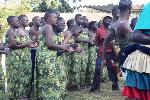 Traditional dance